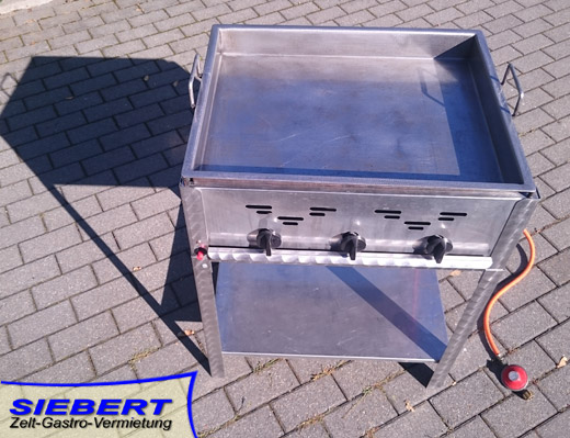 METER STAR Propangas-Adapter Für Niederdruck-Grill & Heizgeräte – 6,35 Mm Schnellkupplung, Ideal Für Wohnmobile